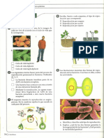 taller-reproduccion-de-moneras-a-plantas.pdf