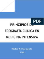 Principios de Ecografía Clínica en Medicina Intensiva Divulgar