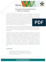 Administracion Documental Entorno Laboral