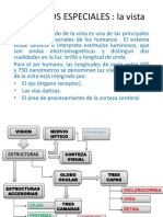 Bacterias Gram Positivas