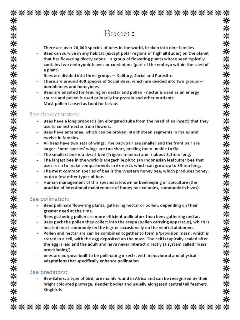 Bees | PDF | Bees | Honey Bee