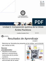 Clase Acidos Nucleicos CF