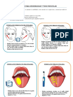 Ejercicios para Sensibilidad y Tono Muscular