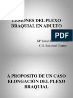 Lesionesdelplexobraquialenadulto 130211105316 Phpapp01 PDF
