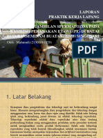 Laporan PKL Suryanti Revisi