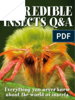 Incredible Insects PDF