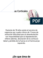 Áreas-Corticales.pdf