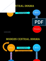 Central Dogma: DNA RNA