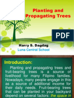 Planting and Propagating Trees