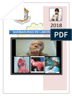 QUEMADURAS.docx