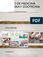 Coccidiosis (Autoguardado)