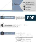 Curriculum Vitae Format