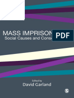 Mass Imprisonment Social Causes and Consequences PDF