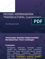 Proses Keperawatan Transkultural (Leineinger)