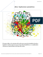 Función Del Cuerpo Calloso: Implicaciones Optométricas