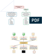 MAPA CONCEPTUAL.pptx