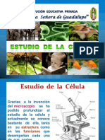 Citologia Diapositiva - Formas de Celulas PDF