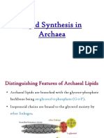 Lipid Synthesis in Archaea