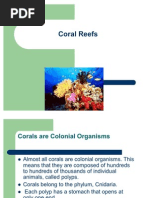 Download Coral Reefs by rkv SN40406774 doc pdf