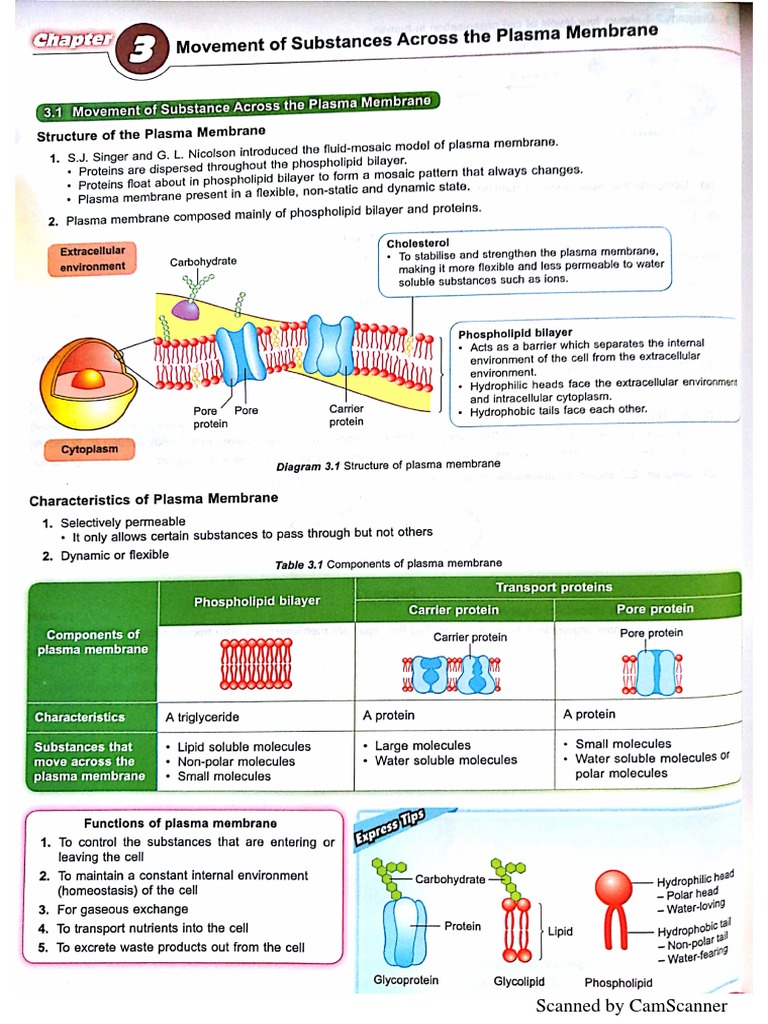 Form 4 Biology Chapter 3 notes