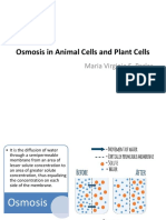 Osmosis in Animal and Plant Cells