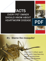5 Facts About HeartWorms PDF