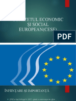 COMITETUL ECONOMIC SI SOCIAL EUROPEAN.pptx