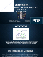 Environmental Engineering Project: Osmosis