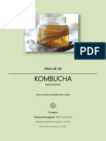 Manual de Kombucha para iniciantes
