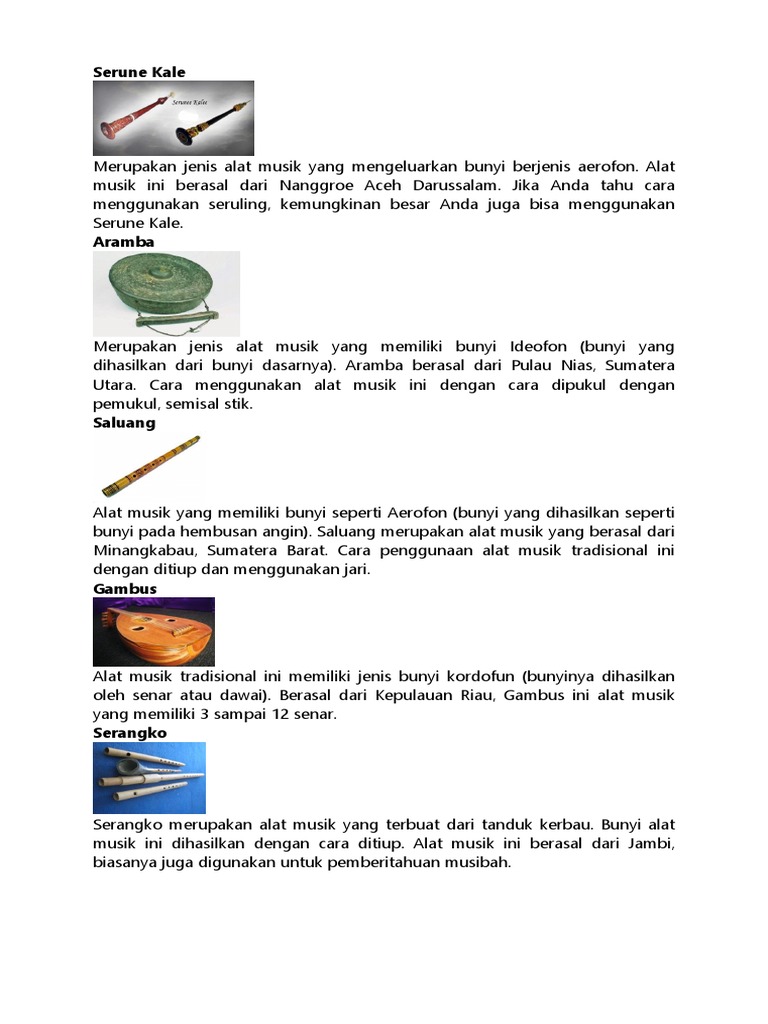 Bunyi Yang Berasal Dari Alat Musik Disebut Juga - Berbagai Alat