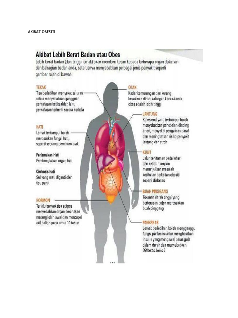 Unduh 650 Gambar Fungsi Hati Tinggi Terbaik 