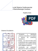 Clase  Sist cardiovascular y Electrofisiologia Cardiaca 19-1.pptx