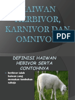 Haiwan Herbivor, Karnivor Dan Omnivor