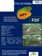 Cultivo de Papaya Chapa PDF