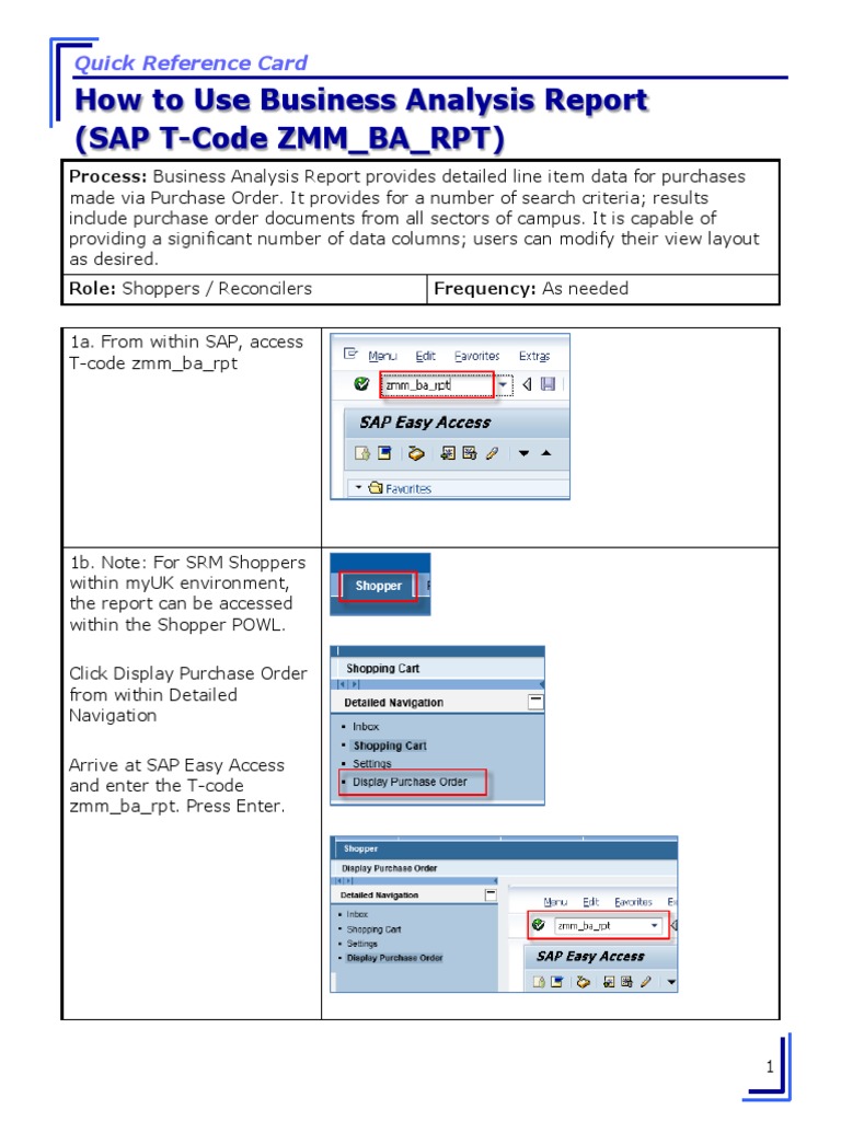 Business Analysis Report Guide in SAP | PDF