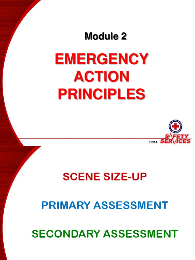 Emergency Action Principles PDF