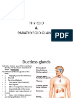 Thyroid & Parathyroid Glands