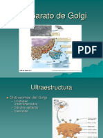 09 Compartimentos y Transporte Intracelular. Aparato de Golgi y Otras Vesículas