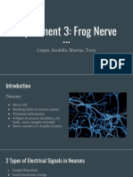 Experiment 3 - Frog Nerve