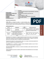 FT Rukon Viñas PDF