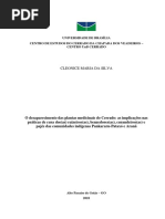 O Desaparecimento Das Plantas Medicinais Do Cerrado