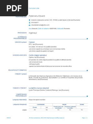 Cv Europass 20190320 Palancanu Fr Pdf Roumanie La Communication