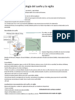 Fisiología Del Sueño y La Vigilia PDF