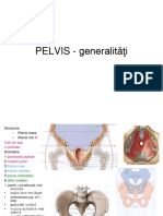 Pelvis Cav PDF