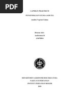 Download laporan analisis vegetasi by Andrixinata B SN40413585 doc pdf