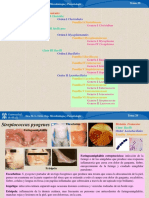 Tema 29-30