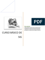 CURSO Basico - Sig - Topologia PDF