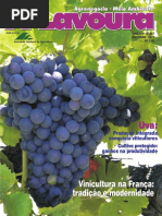 A lavou vitinucultura.pdf