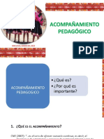 ACOMPAÑAMIENTO PEDAGOGICO 2