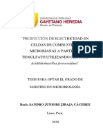 Produccion JibajaCaceres Sandro PDF